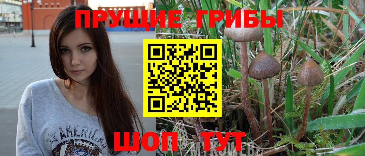 Псилоцибиновые грибы Magic Shrooms Камышин