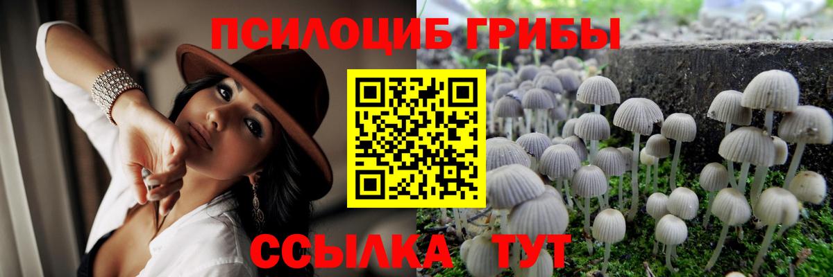 Псилоцибиновые грибы Magic Shrooms  Вход с VPN  Камышин 